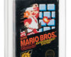 Super Mario Bros video game